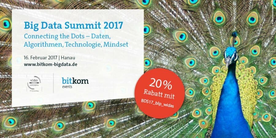 Meet Widas at the Big Data Summit in Hanau!