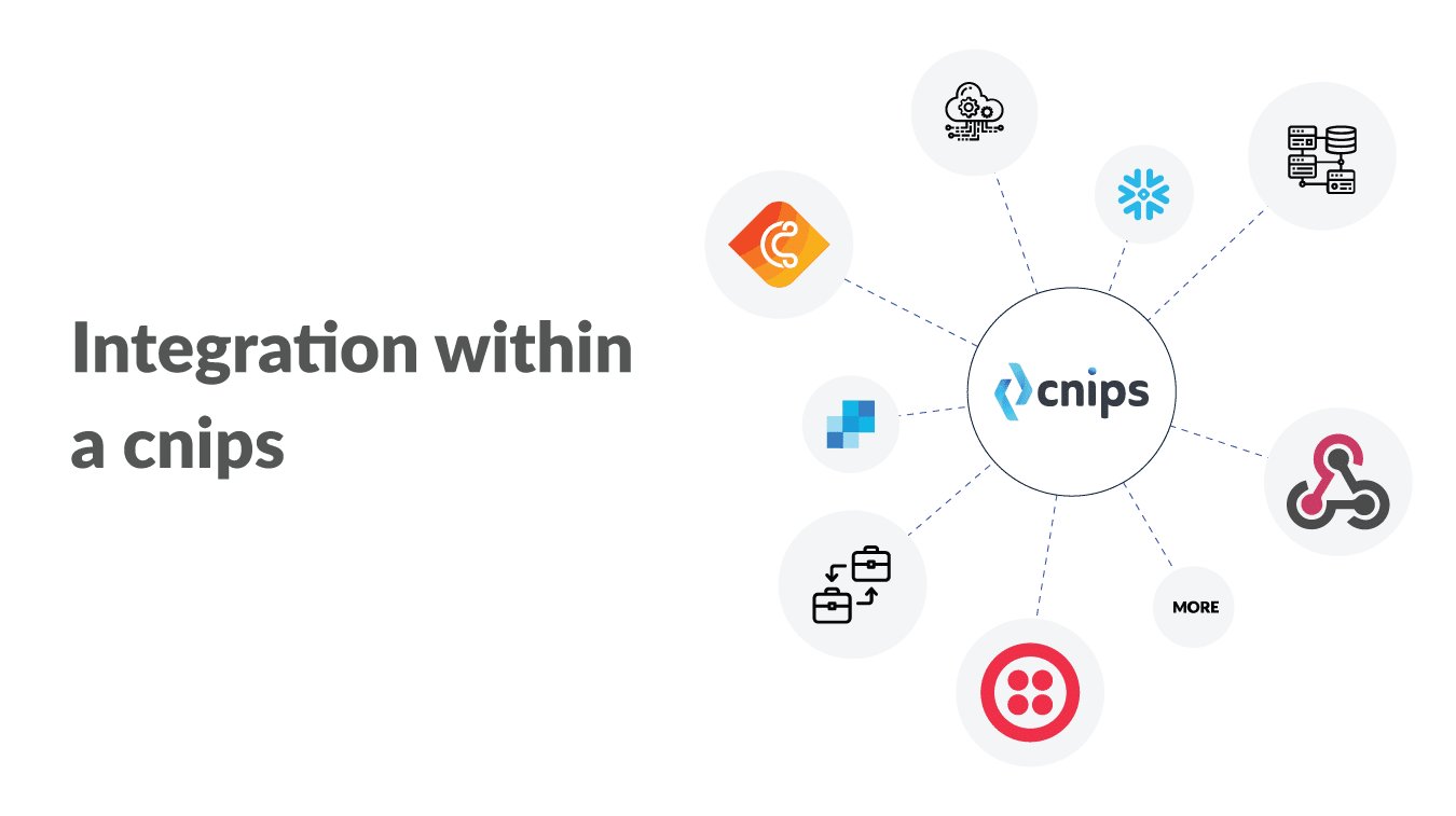 Revolutionize your business processes with cnips - the new IPaaS platform for a seamless integration