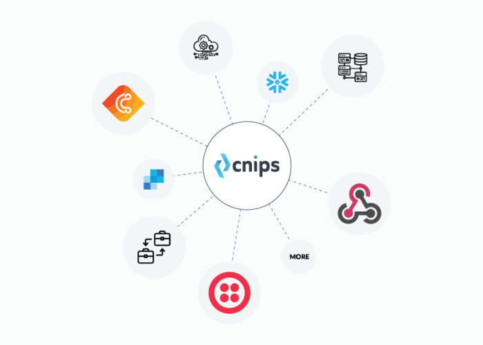 Revolutionize your business processes with cnips - the new IPaaS platform for a seamless integration